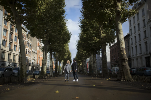 Vlamingen kopen vooral vastgoed in het eigen gewest, Brusselaars zijn een stuk mobieler